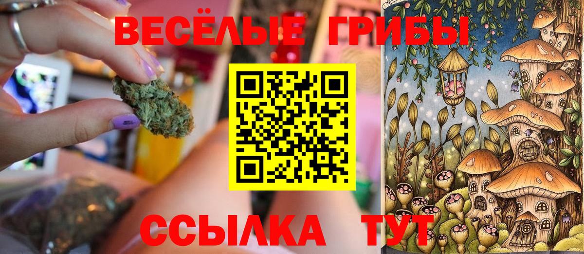 МЕТАМФЕТАМИН Вологда