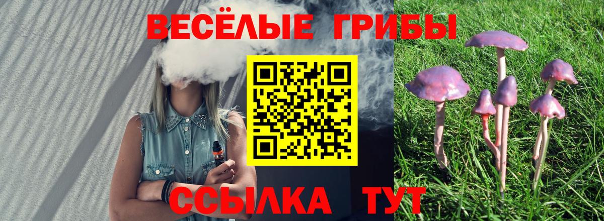 Псилоцибиновые грибы GOLDEN TEACHER Вологда